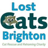 Lost Cats Brighton